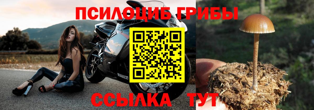 Псилоцибиновые грибы MAGIC MUSHROOMS Тула