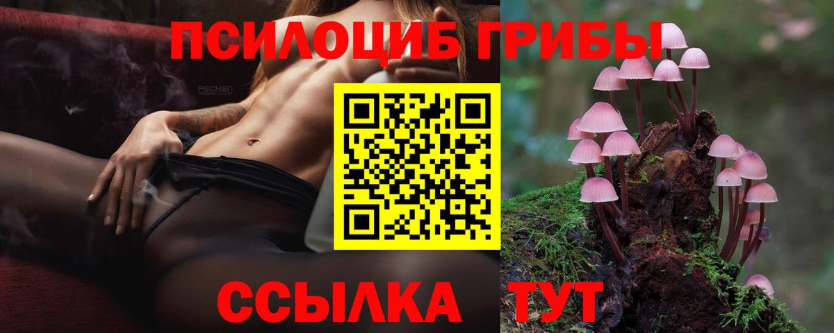 Тула  Псилоцибиновые грибы мицелий  Псилоцибиновые грибы ЛСД  Вход с VPN 